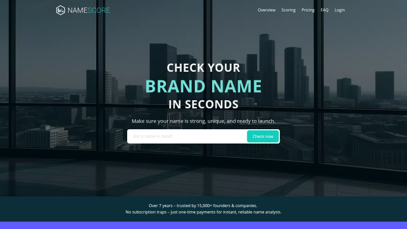 NameScore SaaS Platform Case Study NameScore homepage with the brand-name check hero