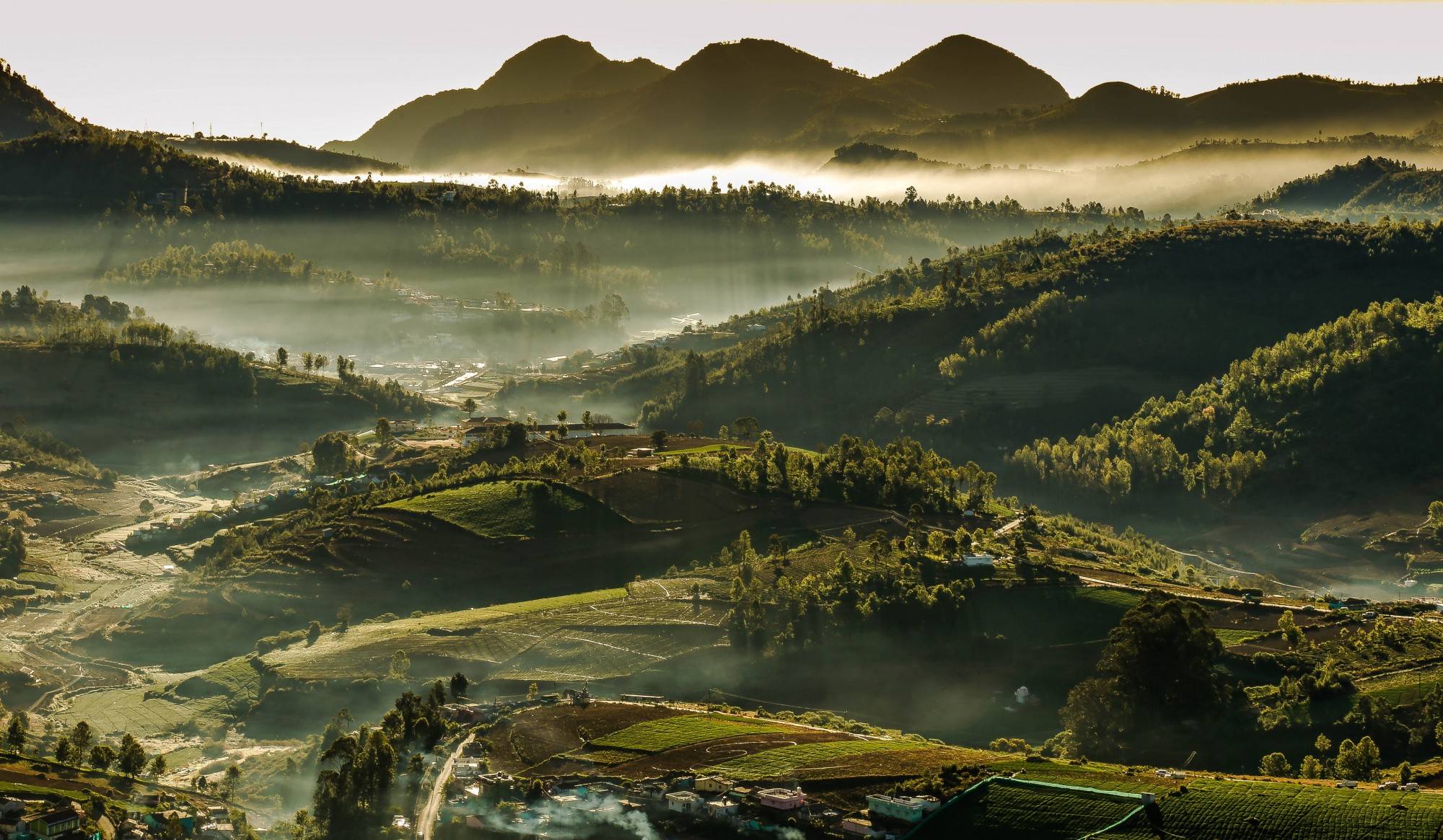 dawn-fog-foggy-922147