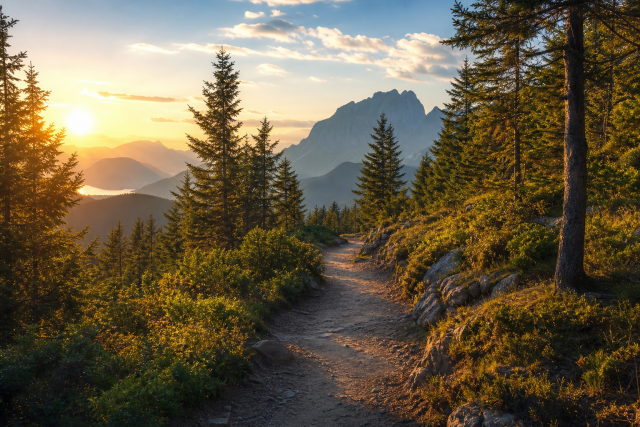 A golden forest trail leads toward a calm mountain landscape in late afternoon light.
